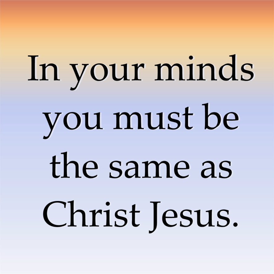 27th Sunday of the Year