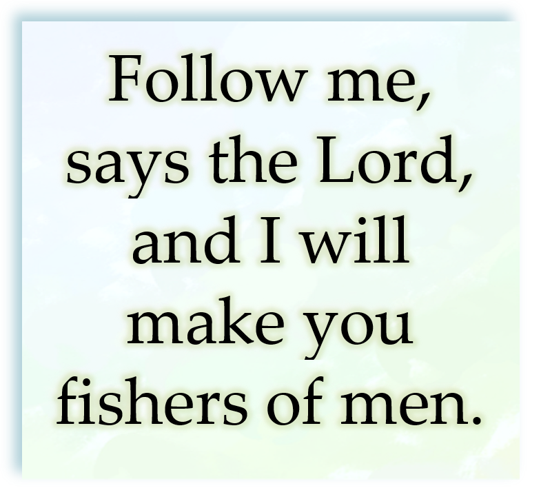 5th Sunday of the Year