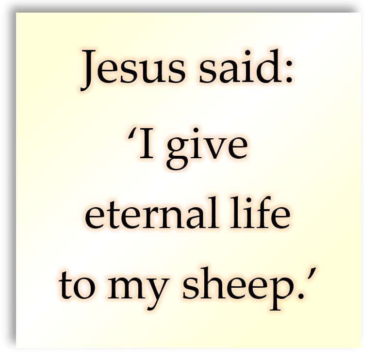 Fourth Sunday of Easter