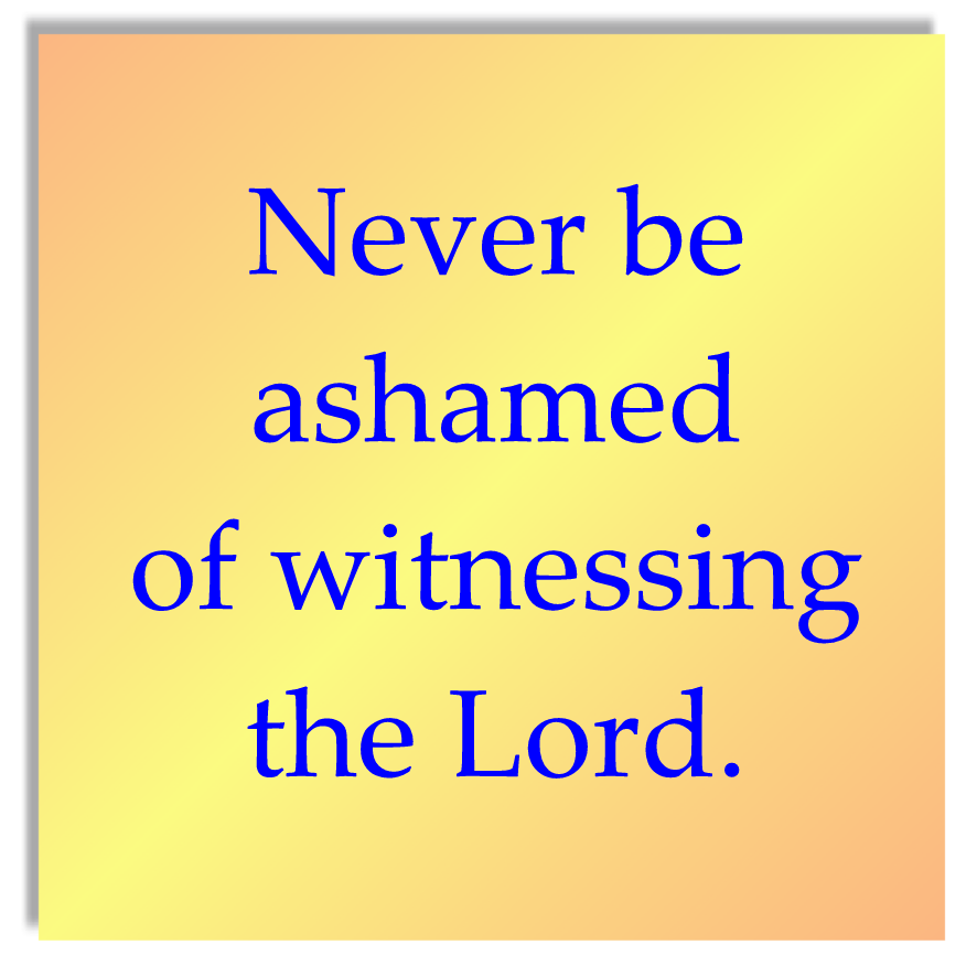 27th Sunday of the Yea