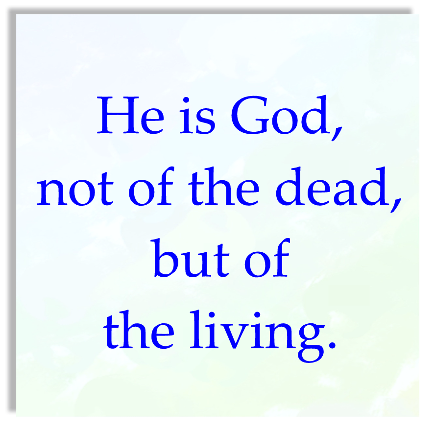 32nd Sunday of the Year