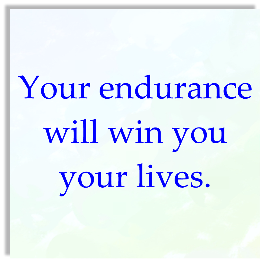 33rd Sunday of the Year