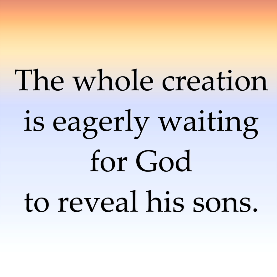 15th Sunday of OT