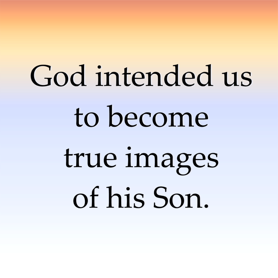 17th Sunday of OT